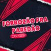 Download track Forrozão Pente De Quarenta