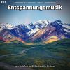 Download track Entspannungsmusik Pt. 88