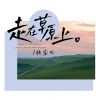 Download track 走在草原上