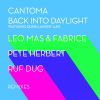 Download track Back Into Daylight (Pete Herbert Remix)