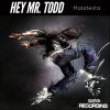 Download track Hey Mr. Todd