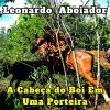 Download track Minha Mulher É Aquela (Cover)