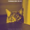 Download track Training Cats (Ambience)