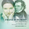 Download track Piano Sonata No. 21 In B-Flat Major, D. 960: III. Scherzo (Allegro Vivace Con Delicatezza - Trio)