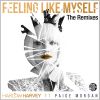 Download track Feeling Like Myself (Pierre Blanche Mr Remix)