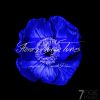 Download track Flowers Of The Night