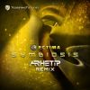 Download track Symbiosis (Arhetip Remix)