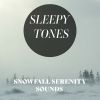 Download track Snowfall Serenity Sounds, Pt. 13