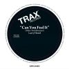 Download track Can You Feel It (Dub-Ette Remix)