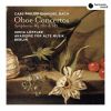 Download track Oboe Concerto In E-Flat Major, H. 468, Wq. 165: III. Allegro Ma Non Troppo