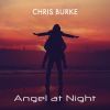 Download track Angel At Night (Instrumental)