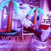 Download track Woke Up