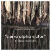 Download track Sierra Alpha Victor (Quivver Remix)