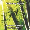 Download track Relaxing Music, Pt. 30