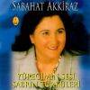 Download track Şahı Merdan