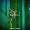 Download track Memories - Relaxing Cats