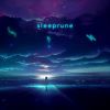 Download track Sleeprune