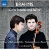 Download track Lieder, Op. 47- No. 1, Botschaft (Arr. For Cello & Piano)