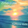 Download track Zirbeldrüse 3