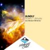 Download track Solaris (Miroslav Vrlik Remix)