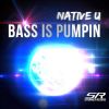 Download track Bass Is Pumpin (Radio Edit)