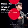 Download track Brahms: Variations On A Theme By Haydn, Op. 56a 