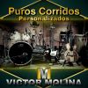 Download track El Corrido De Javier Santacruz