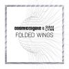 Download track Folded Wings (Rafael Frost Extended Remix)