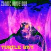 Download track Turtle Bay