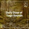 Download track Daily Dose Of Yoga Sounds, Pt. 20