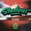 Download track Shadows (Extended Mix)