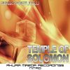 Download track Temple Of Solomon (Original Mix)