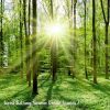 Download track Forest Bathing Summer Breeze Sounds, Pt. 13