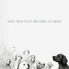 Download track Rolig Canine Havn