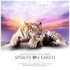 Download track Spirits On Earth (Daniele Mondello And Express Viviana Bootleg) -Sob