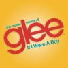 Download track If I Were A Boy (Glee Cast Version)