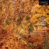 Download track Overture In The French Style, BWV 831 Bourrée I'Ii'