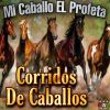 Download track El Caballo Jovero