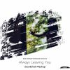 Download track Kohta Imafuku Vs. Elissandro Vs. Ocoro - Always Leaving You (SounEmot Intro Mashup)