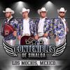 Download track Los Arroyuelos (En Vivo)