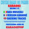 Download track Les Oiseaux Qu'on Met En Cage (Originally Performed By NOTRE DAME DE PARIS Cast [Karaoke])