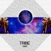 Download track Tribe (Original Mix)