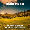 Download track Peaceful Background Soundscapes