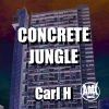 Download track Concrete Jungle