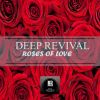 Download track Roses Of Love (Revival's Bongo Mix)