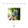 Download track Remain In Him (Live)