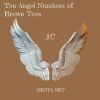 Download track Ten Angel Numbers Of Brown Toes (Speed Up Remix)