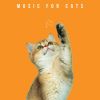 Download track Music For Cats