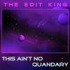 Download track This Ain't No Quandary (Remix)