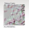 Download track Flowering